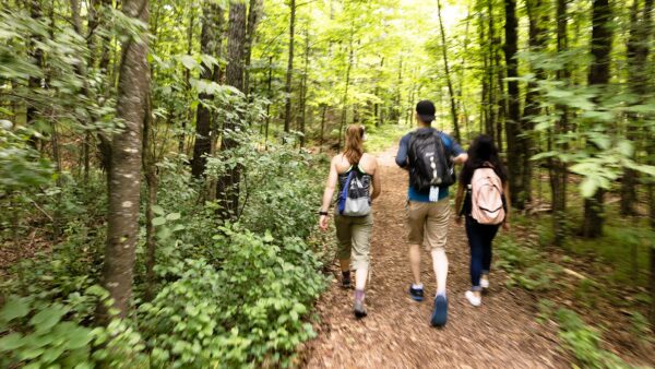 St. Scholastica students hiking in the woods