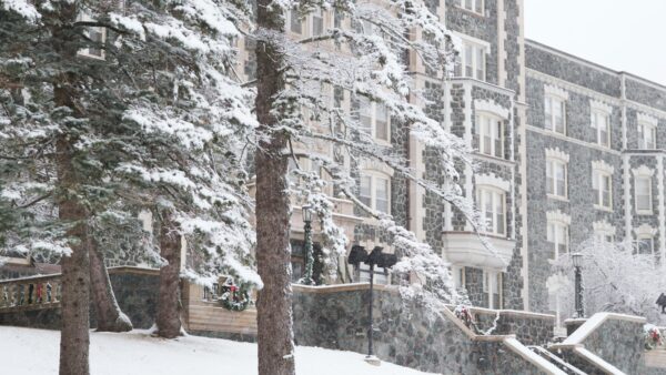 Tower Hall and tree covered in snow in winter.