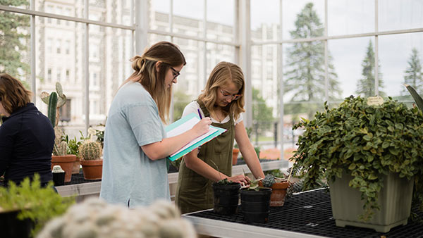 St. Scholastica students working with plants during a biology class in the greenouse.