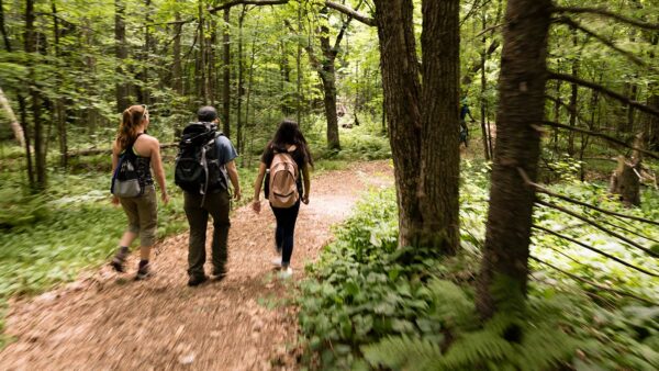 Three students hiking on the St. Scholastica Duluth campus trails.